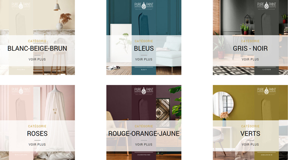 Acces à la E-Boutique de PURE & PAINT
