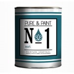 pure and paint exterieure n1