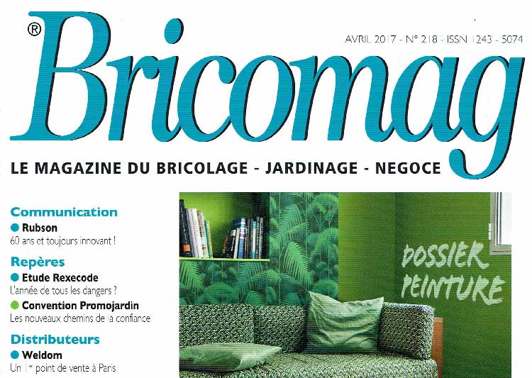 Bricomag le magazine du bricolage parle de Pure&Paint