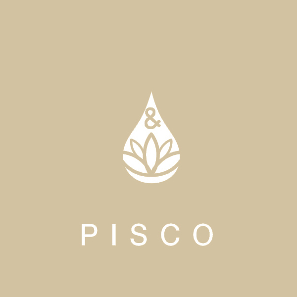 PURE and PAINT - Peintures végétales et écologiques - Pisco