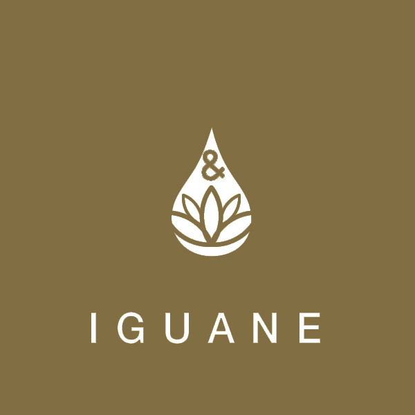 PURE and PAINT - Peintures végétales et écologiques - Iguane